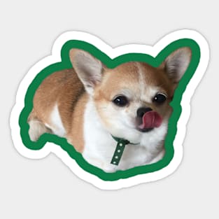 Loaf Tippi Sticker